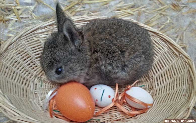 Kurzreisen ber Ostern